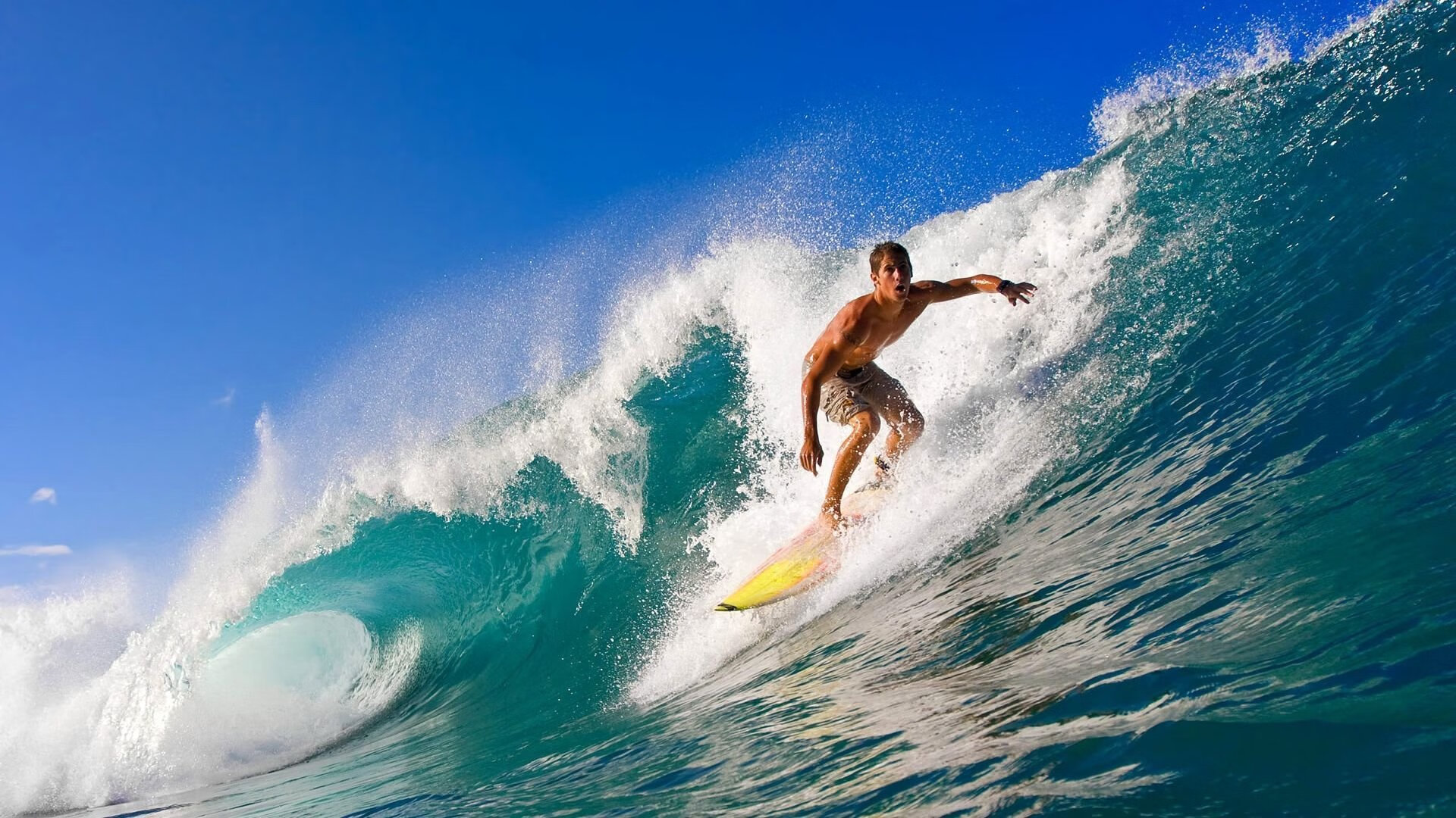 南安普顿客场击败强敌，重返胜利轨道，南安普顿球场简介