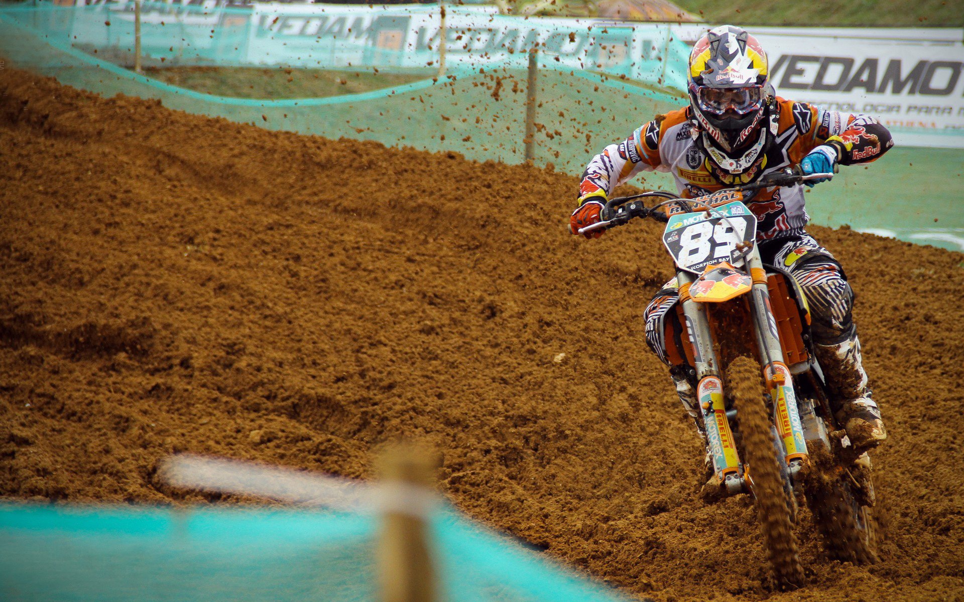 线上投票：谁是本赛季最耀眼车手？